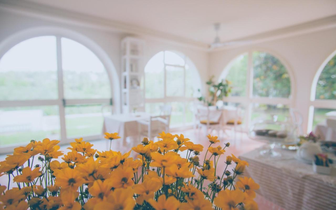 Al Gattosaggio Bed & Breakfast Montecarlo Luaran gambar