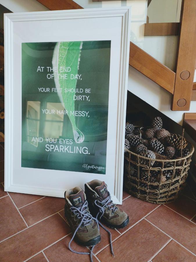 Al Gattosaggio Bed & Breakfast Montecarlo Luaran gambar
