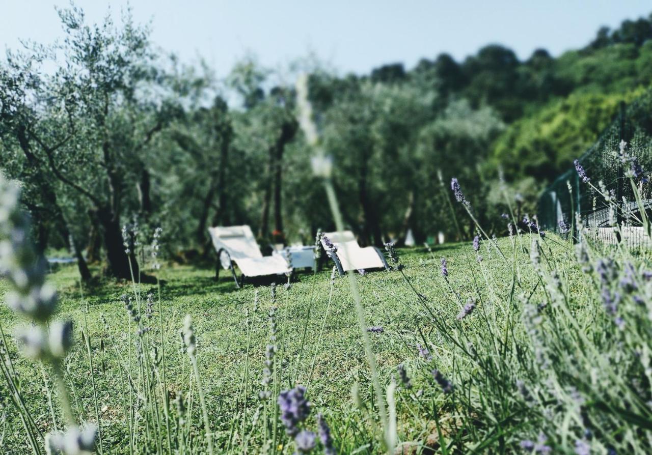 Al Gattosaggio Bed & Breakfast Montecarlo Luaran gambar