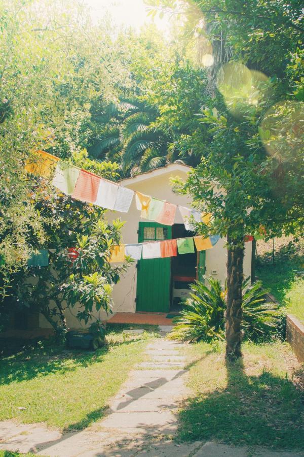 Al Gattosaggio Bed & Breakfast Montecarlo Luaran gambar