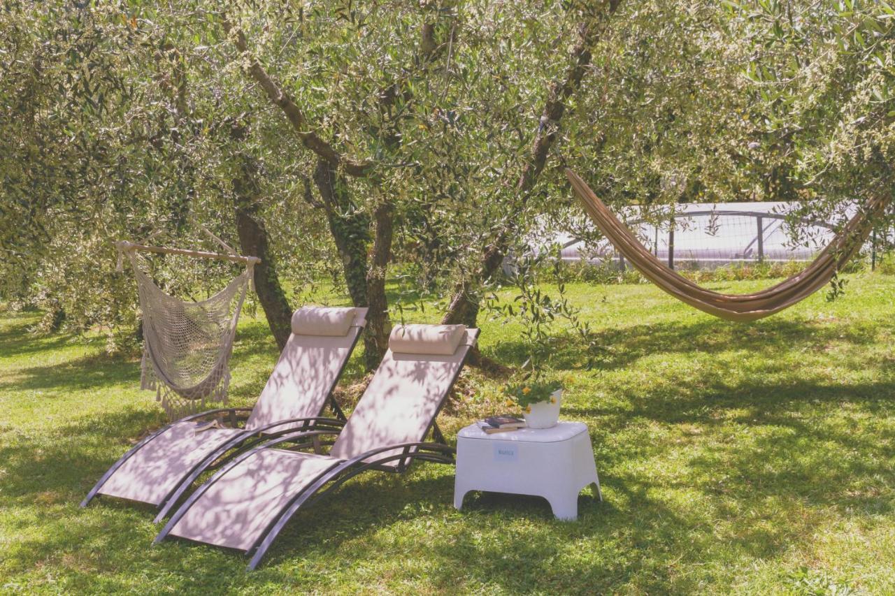 Al Gattosaggio Bed & Breakfast Montecarlo Luaran gambar