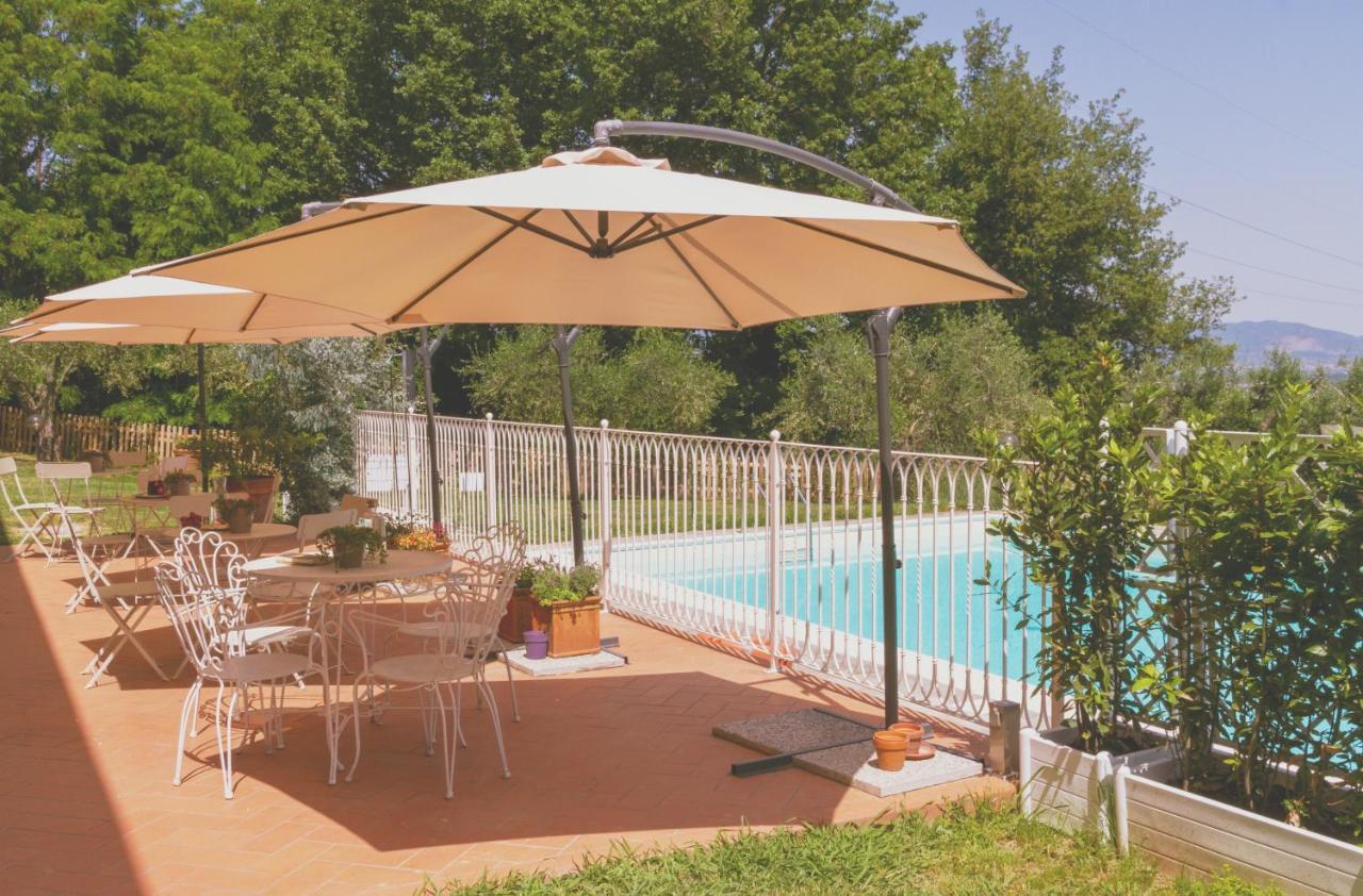Al Gattosaggio Bed & Breakfast Montecarlo Luaran gambar